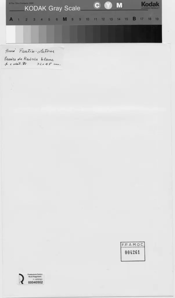 Anonimo , Fantin-Latour, Henri - sec. XIX - Cesto di uva bianca , retro