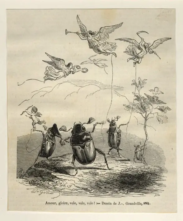 Anonimo , Grandville - sec. XIX - Ballo di coleotteri con angeli , fronte