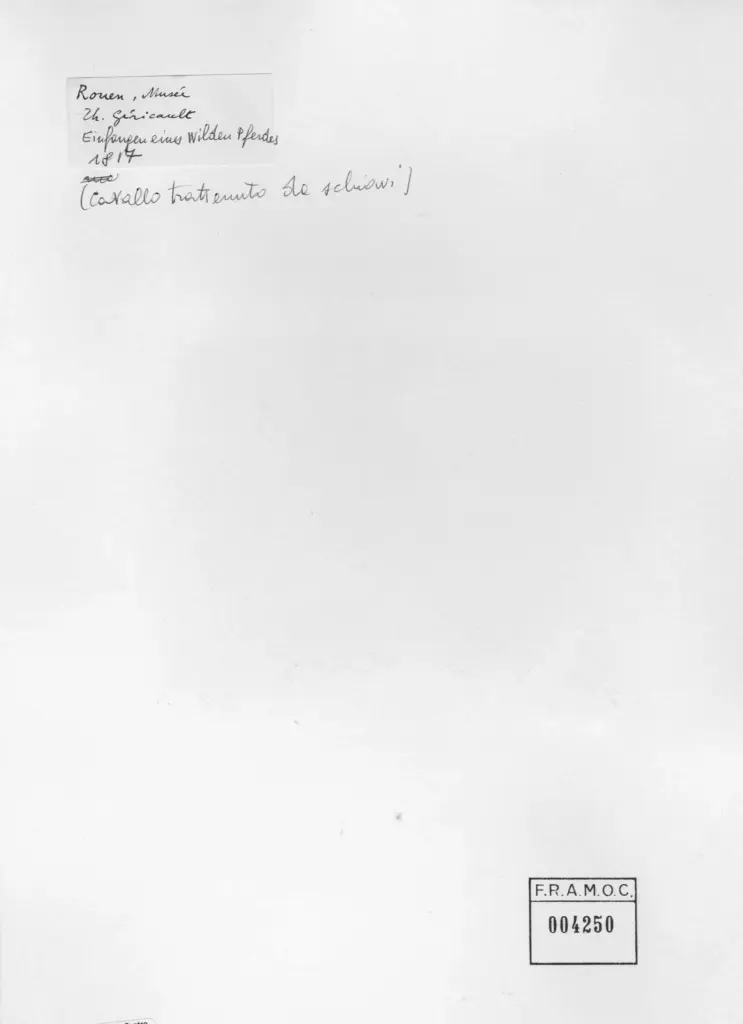 Anonimo , Gericault, Jean Louis - sec. XIX - Einfangen eines wilden Pferdes - Cattura di un cavallo selvatico , retro