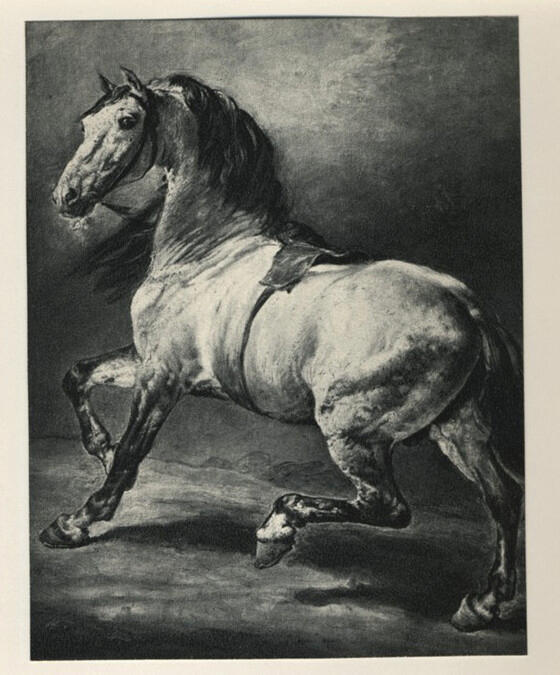 fronte