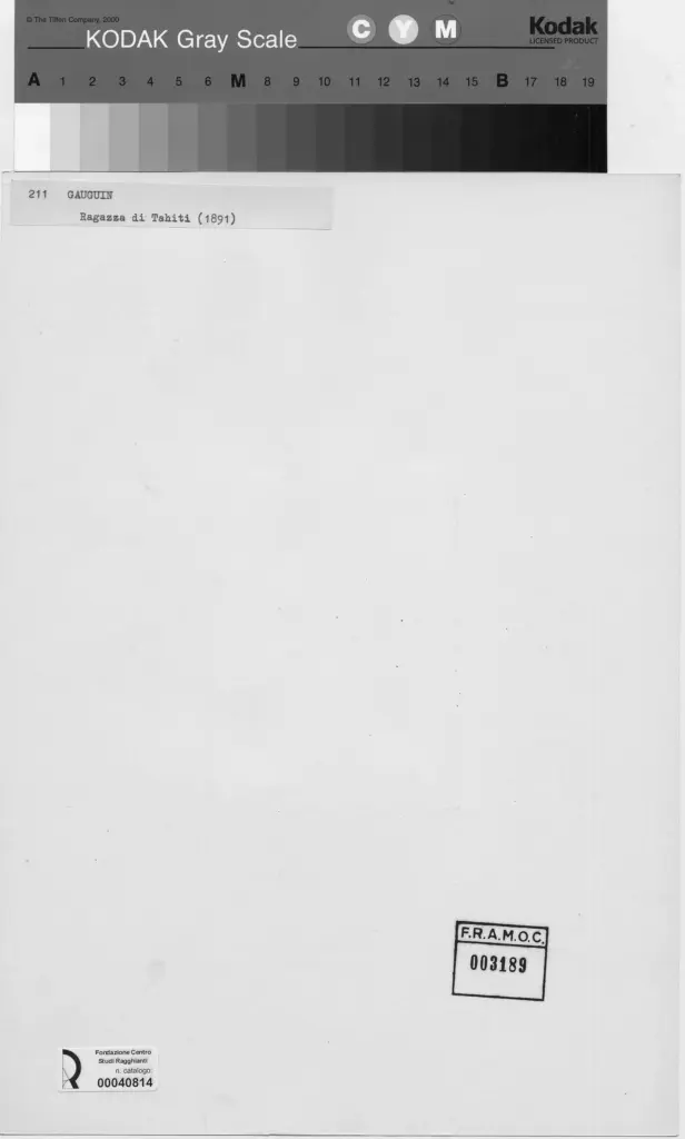 Anonimo, Anonimo , retro