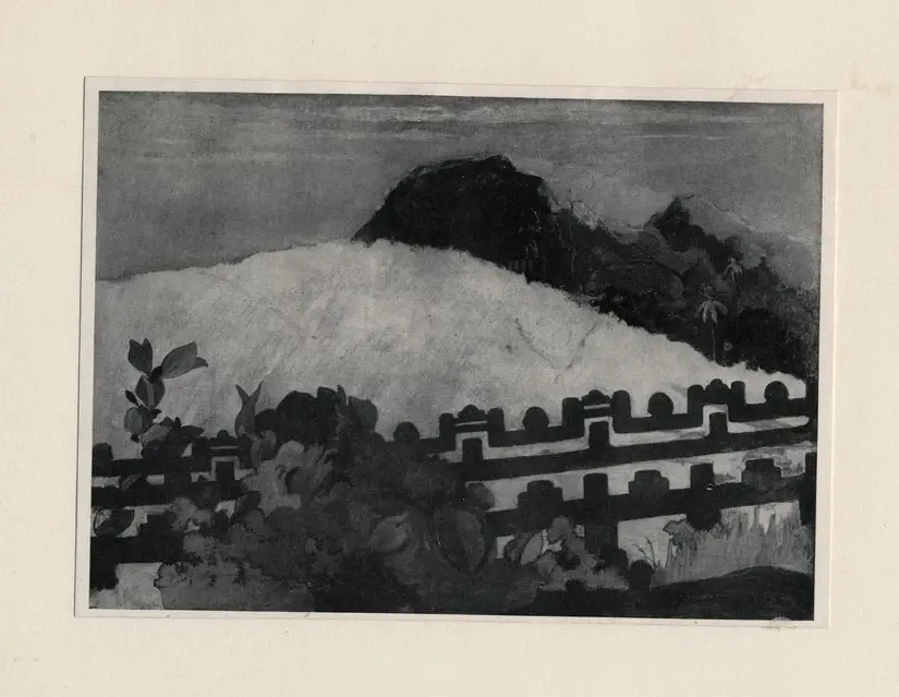 Anonimo, Anonimo , fronte