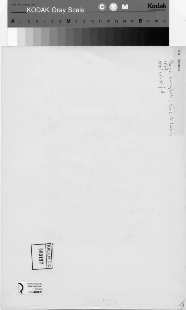 Anonimo, Anonimo , retro