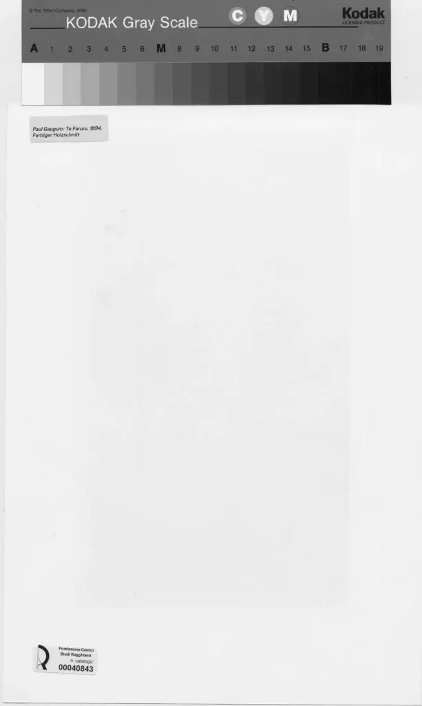 Anonimo, Anonimo , retro