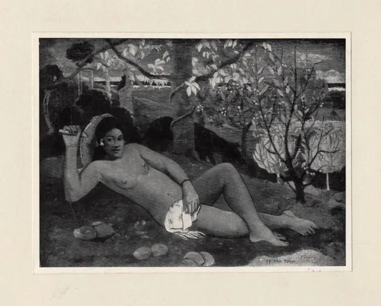 Anonimo, Anonimo , fronte