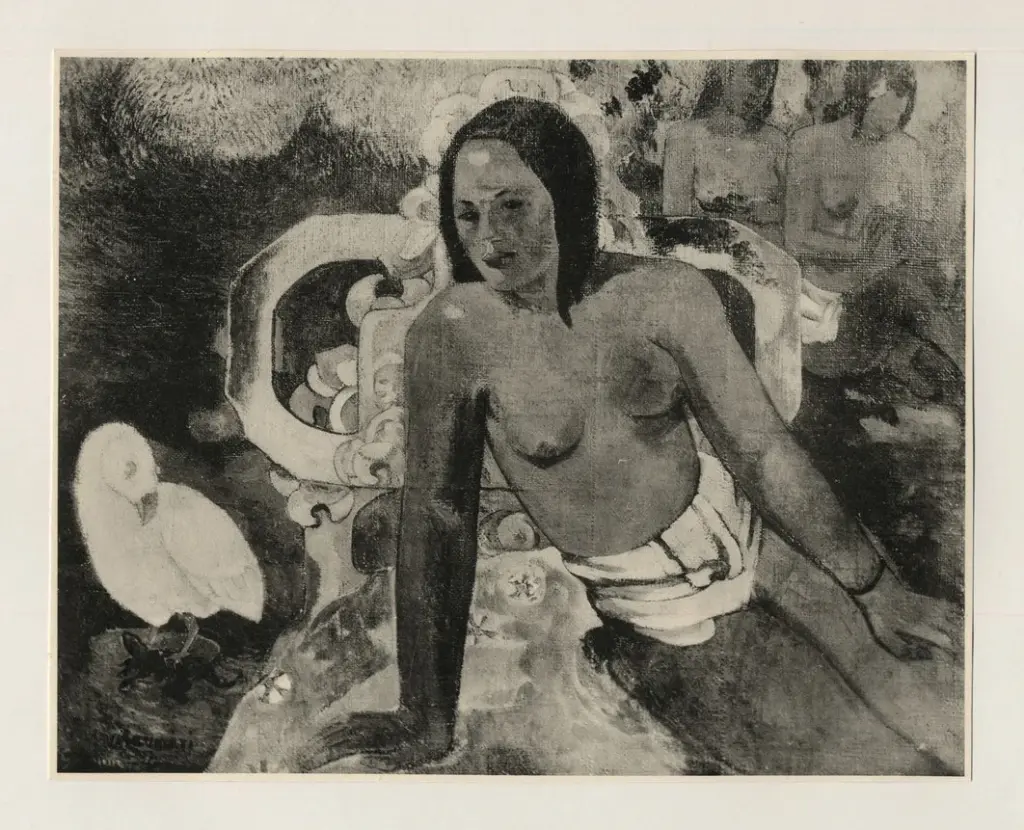 Anonimo, Anonimo , fronte