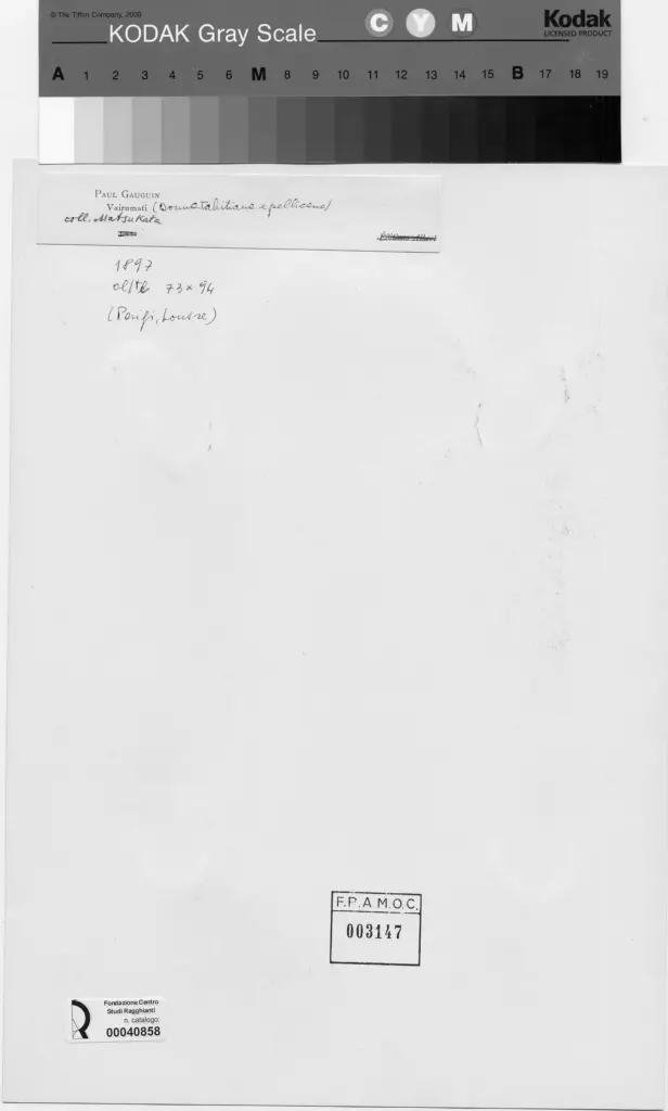 Anonimo, Anonimo , retro