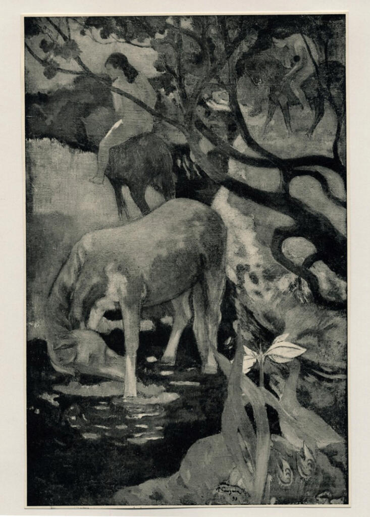 Anonimo , Gauguin, Paul - sec. XIX - Le cheval blanche , fronte