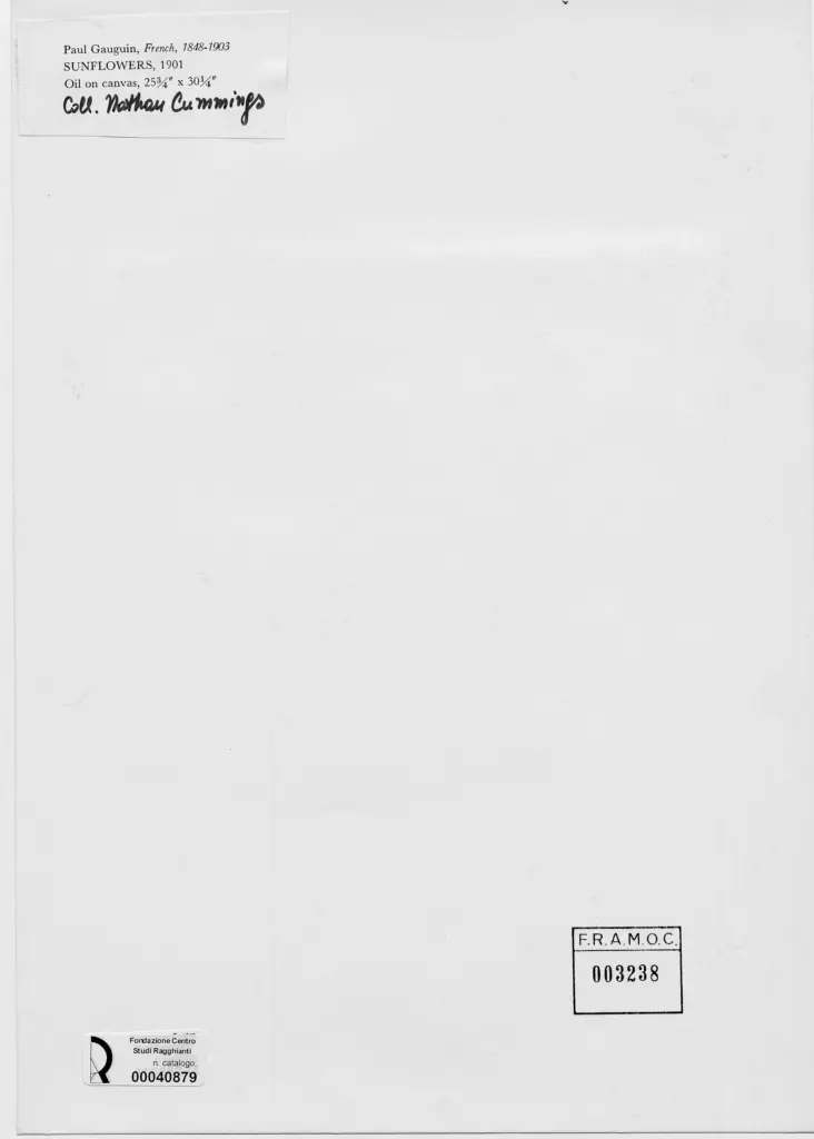 Anonimo, Anonimo , retro