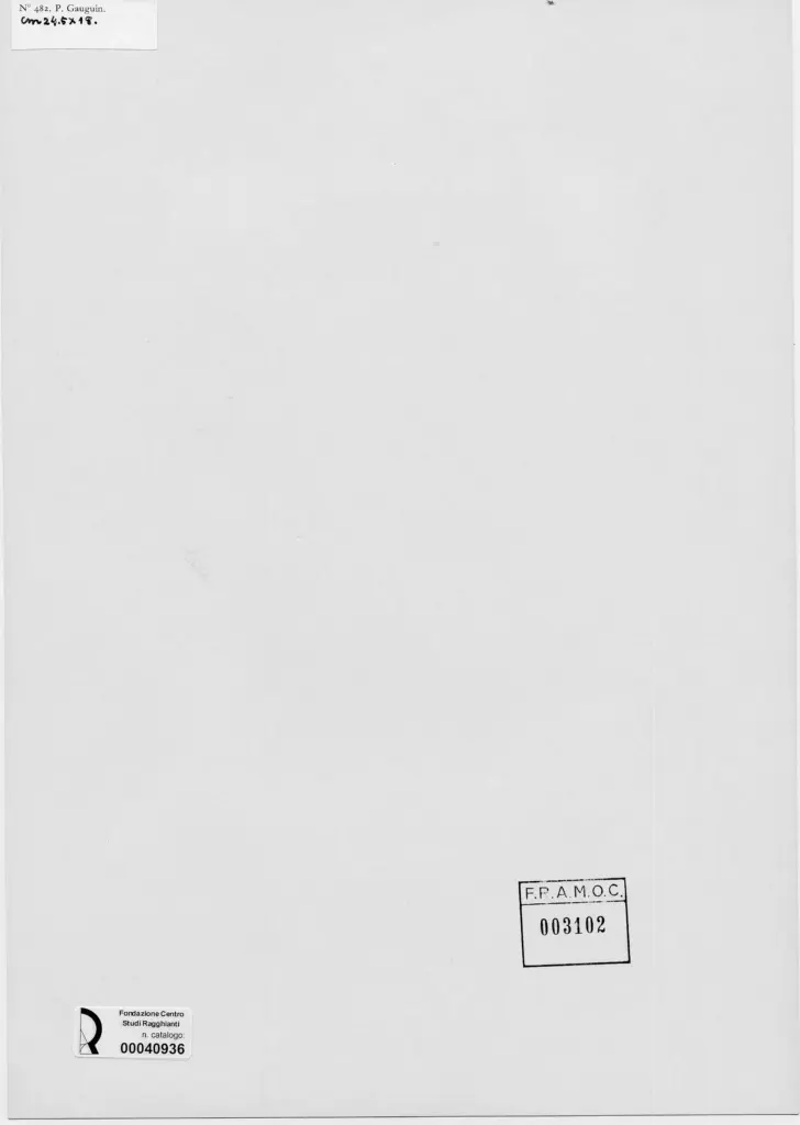 Anonimo, Anonimo , retro