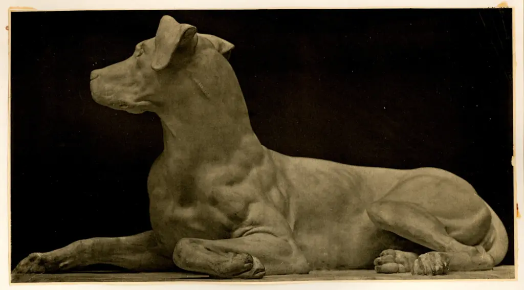 Anonimo , Giraud, P.F. - sec. XIX - Cane , fronte