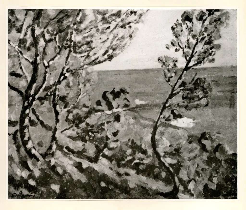 Anonimo, Anonimo , fronte