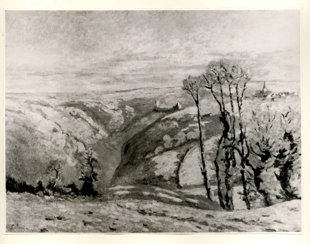 Anonimo, Anonimo , fronte