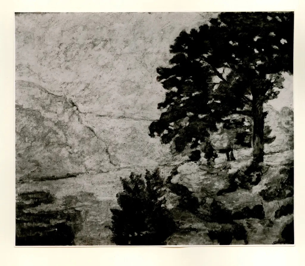 Anonimo, Anonimo , fronte