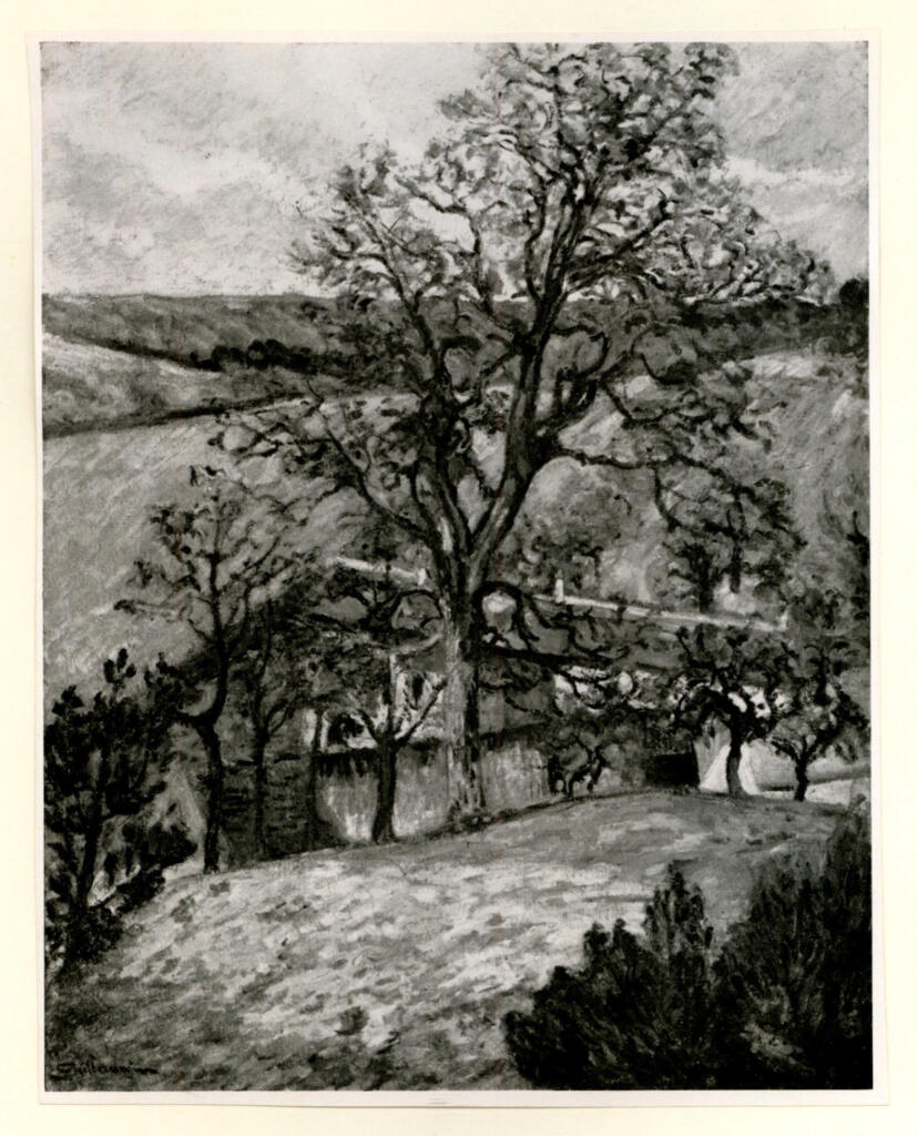 Anonimo , fronte