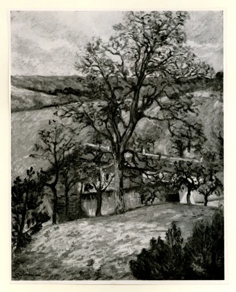 Anonimo, Anonimo , fronte