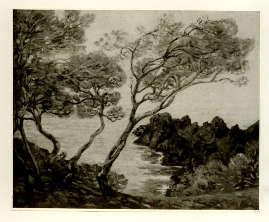 Anonimo, Anonimo , fronte