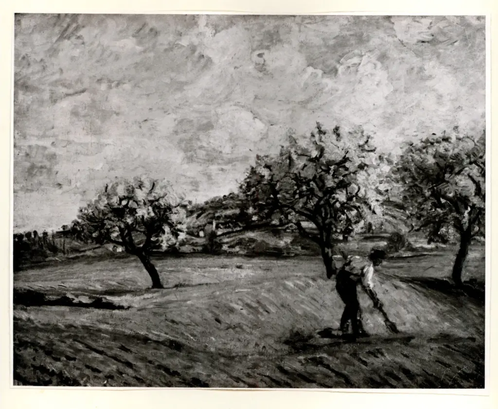 Anonimo, Anonimo , fronte