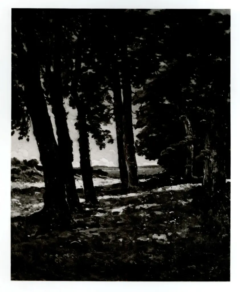 Anonimo, Anonimo , fronte