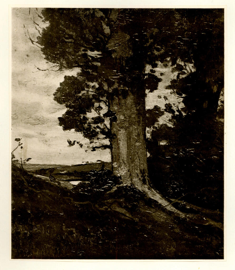 Anonimo , fronte
