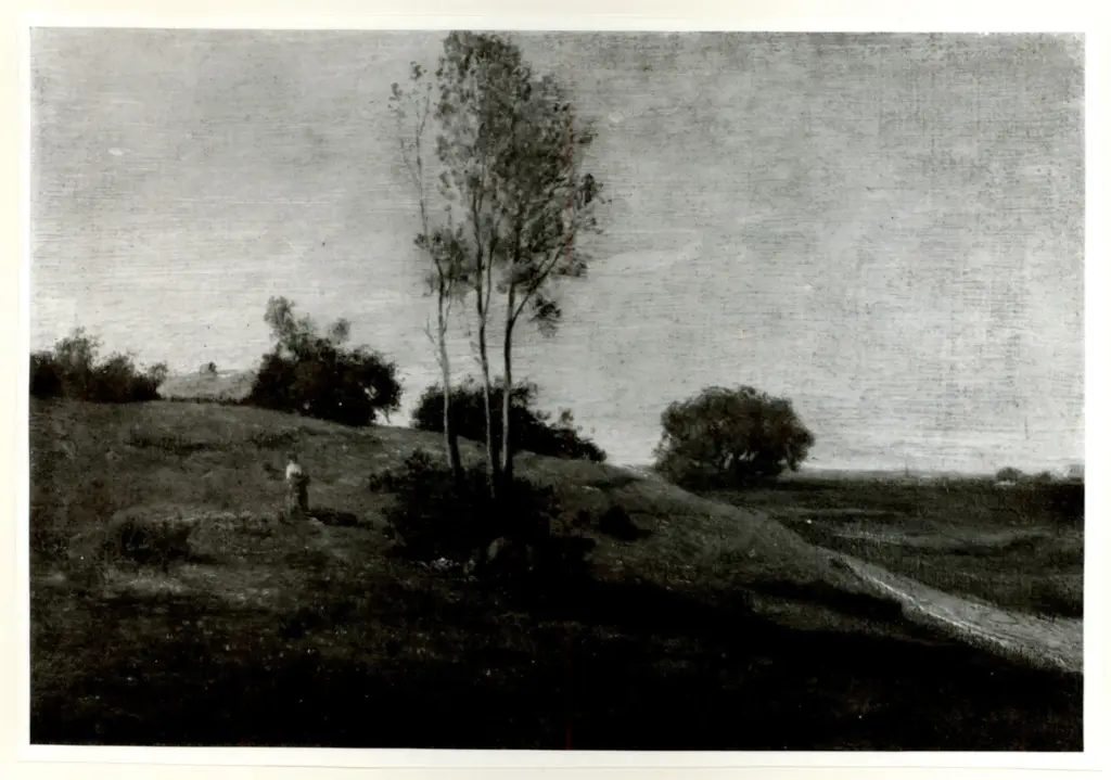 Anonimo, Anonimo , fronte