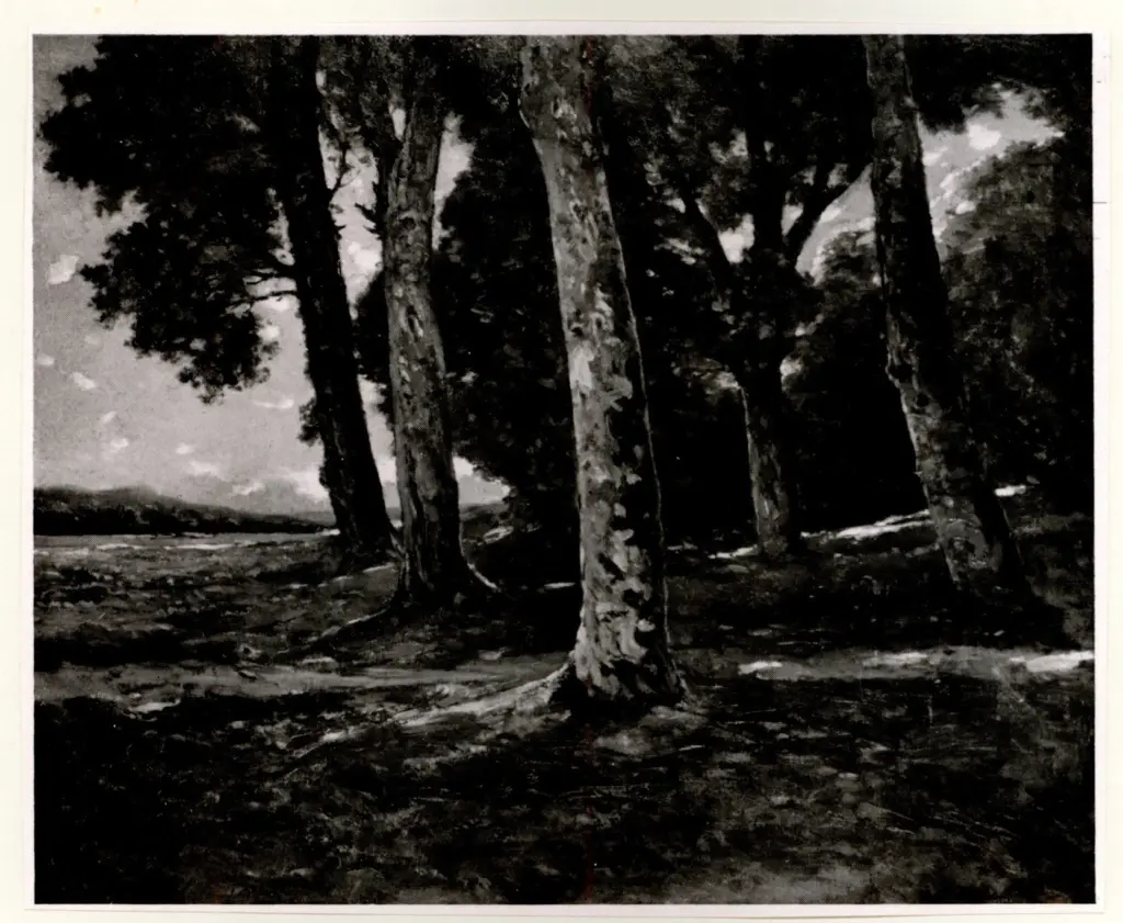 Anonimo, Anonimo , fronte