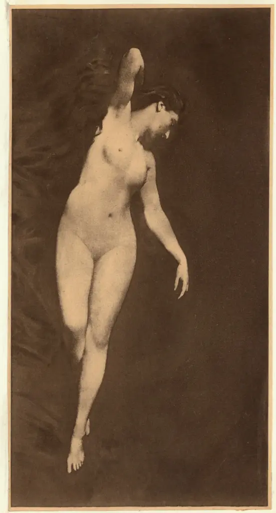 Anonimo, Anonimo , fronte