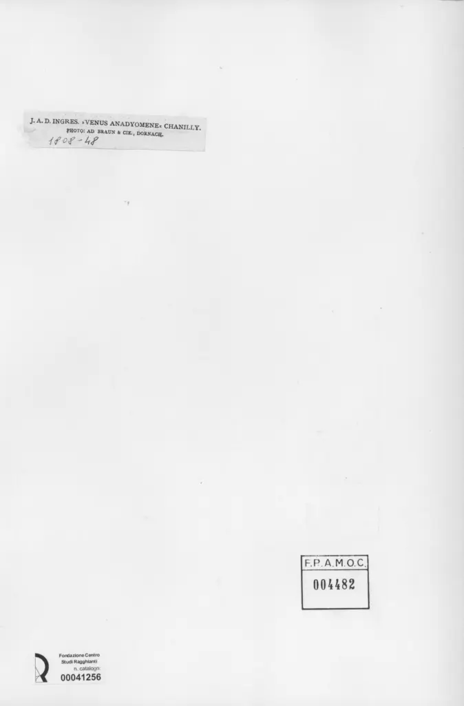 Braun , Ingres, Jean Auguste Dominique - sec. XIX , retro