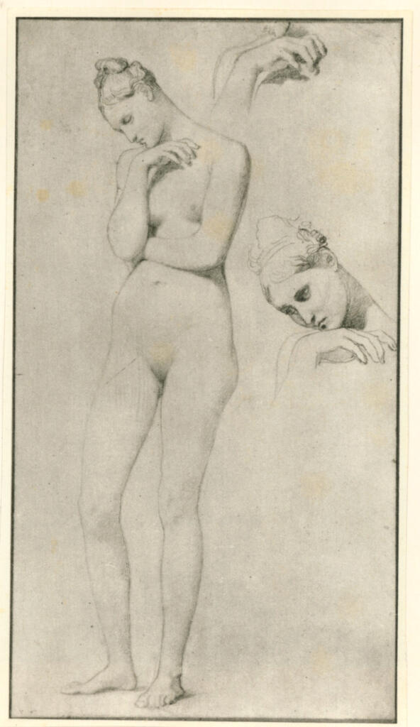 Anonimo , Ingres, Jean Auguste Dominique - sec. XIX