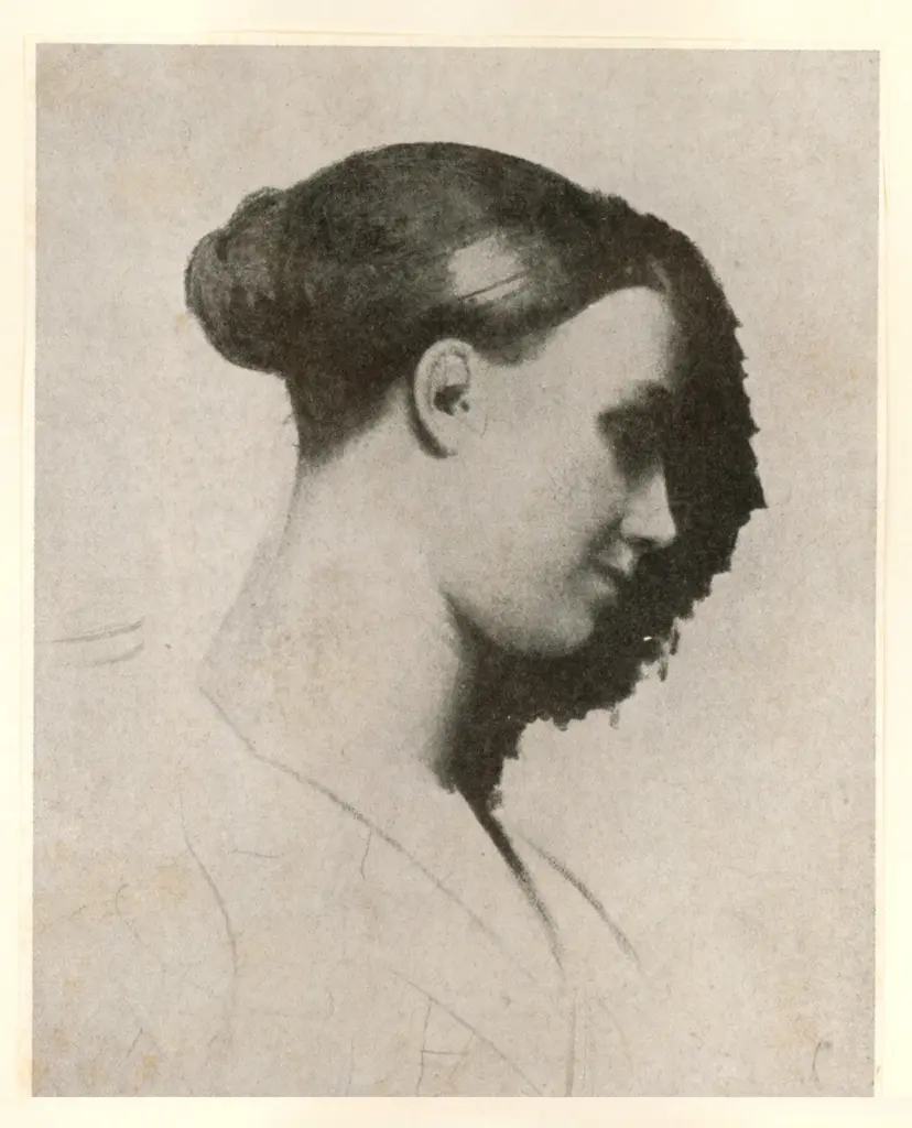 Ingres, Jean Auguste Dominique , fronte