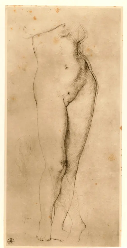 Ingres, Jean Auguste Dominique , fronte