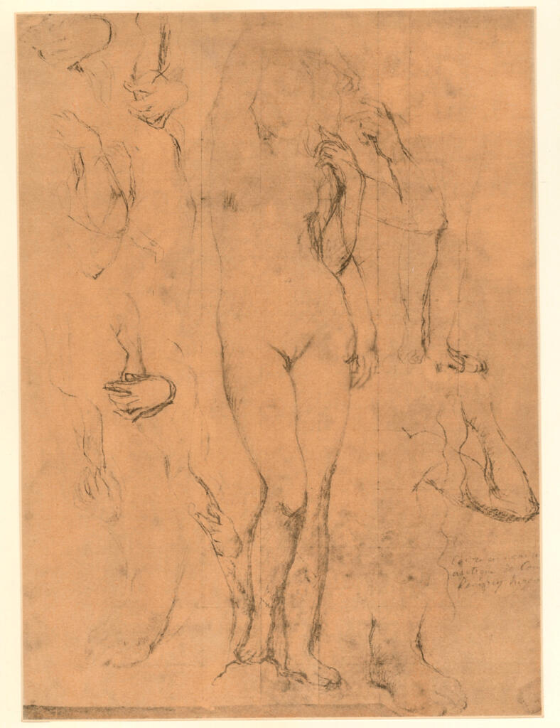 Anonimo , Ingres, Jean Auguste Dominique - sec. XIX - Studio per Venere anadiomene , fronte