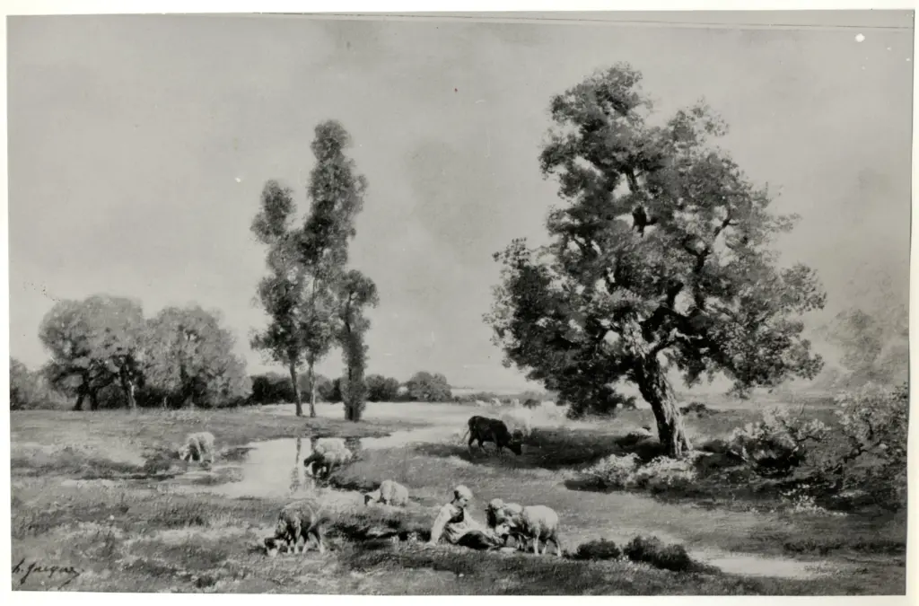 Anonimo, Anonimo , fronte