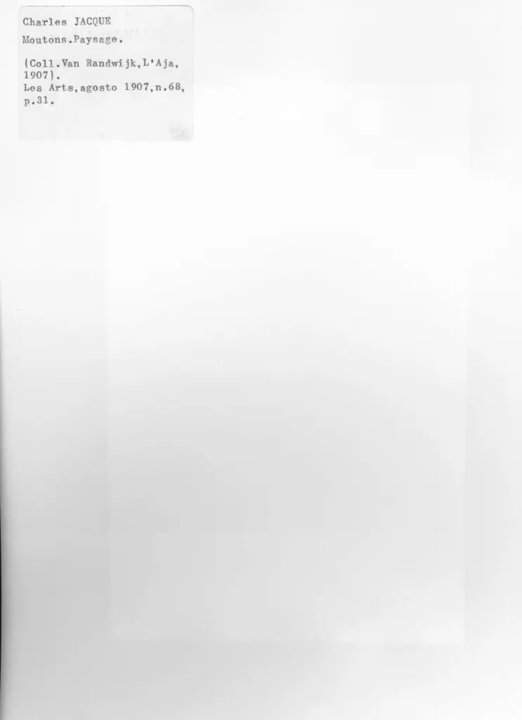 Anonimo, Anonimo , retro