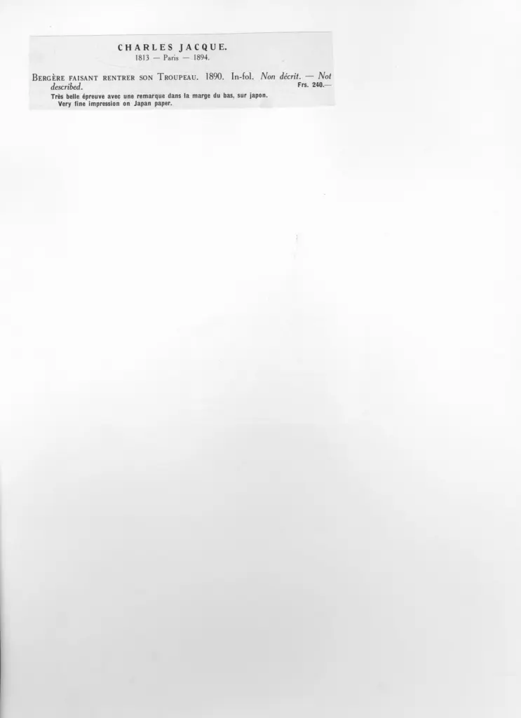 Anonimo, Anonimo , retro