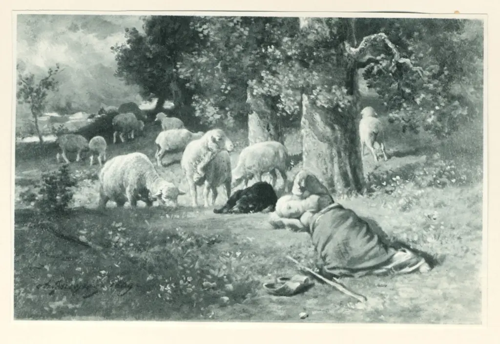 Anonimo, Anonimo , fronte