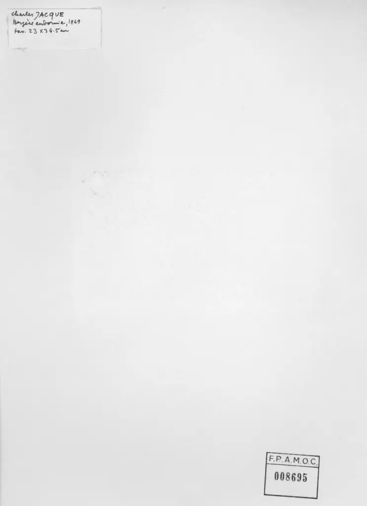 Anonimo, Anonimo , retro