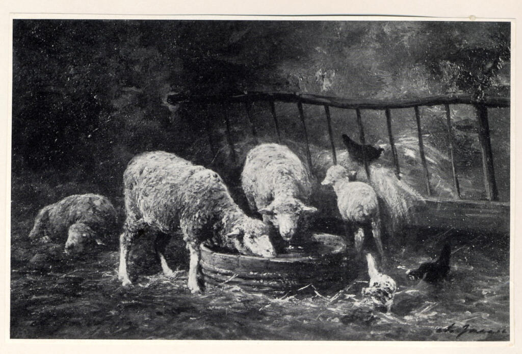 Anonimo, Anonimo , fronte