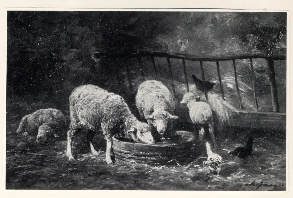 Anonimo , Jacque, Charles - sec. XIX - Schafe im Stall , fronte