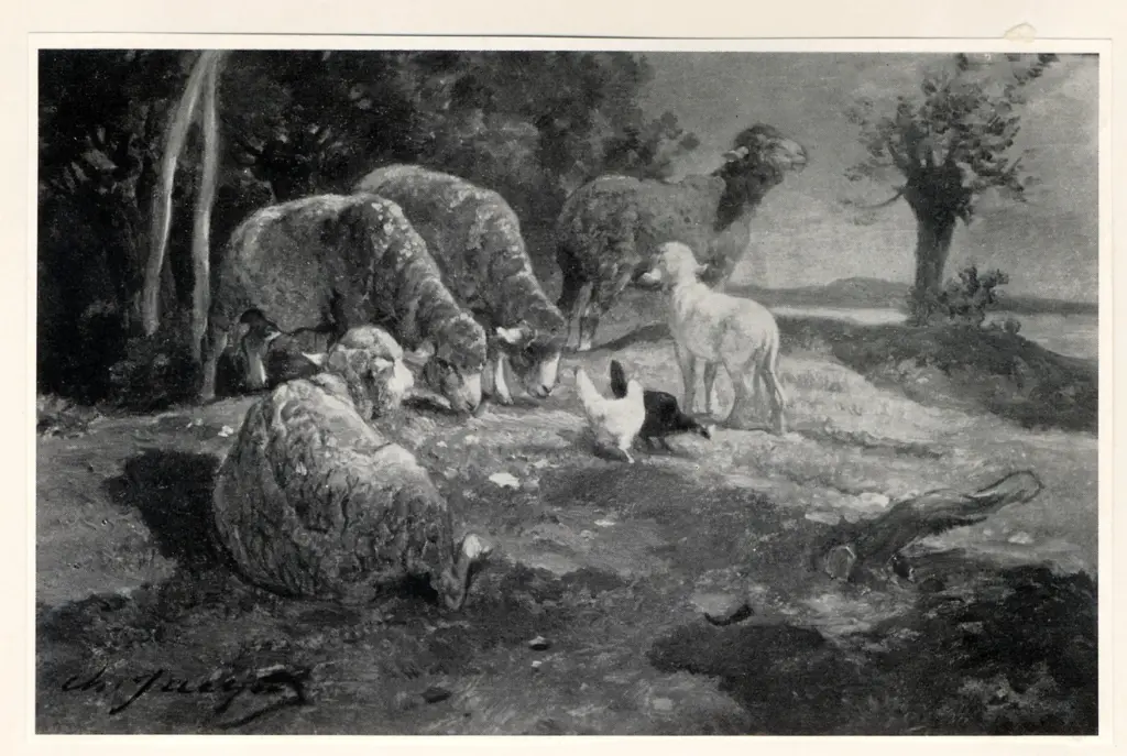 Anonimo, Anonimo , fronte