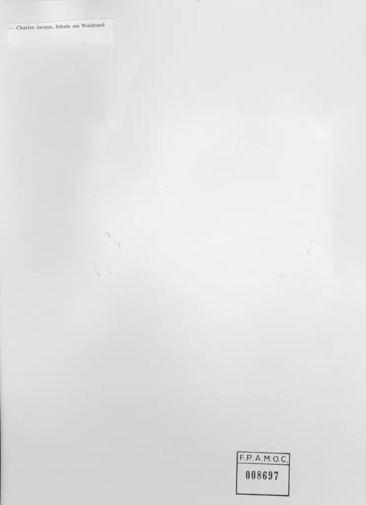 Anonimo, Anonimo , retro