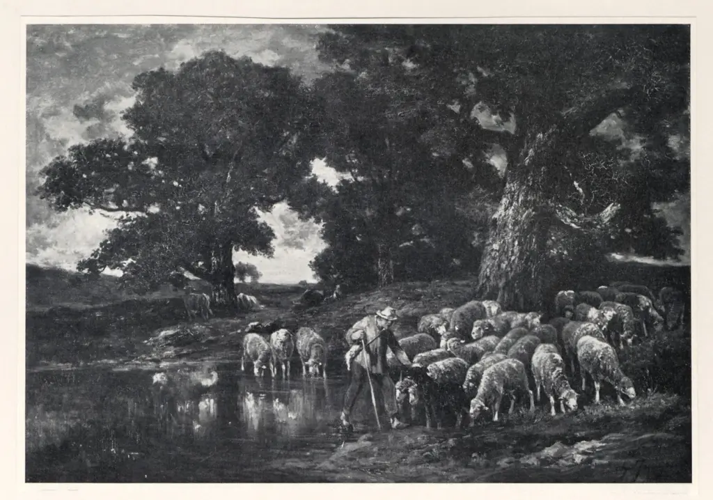 Anonimo, Anonimo , fronte