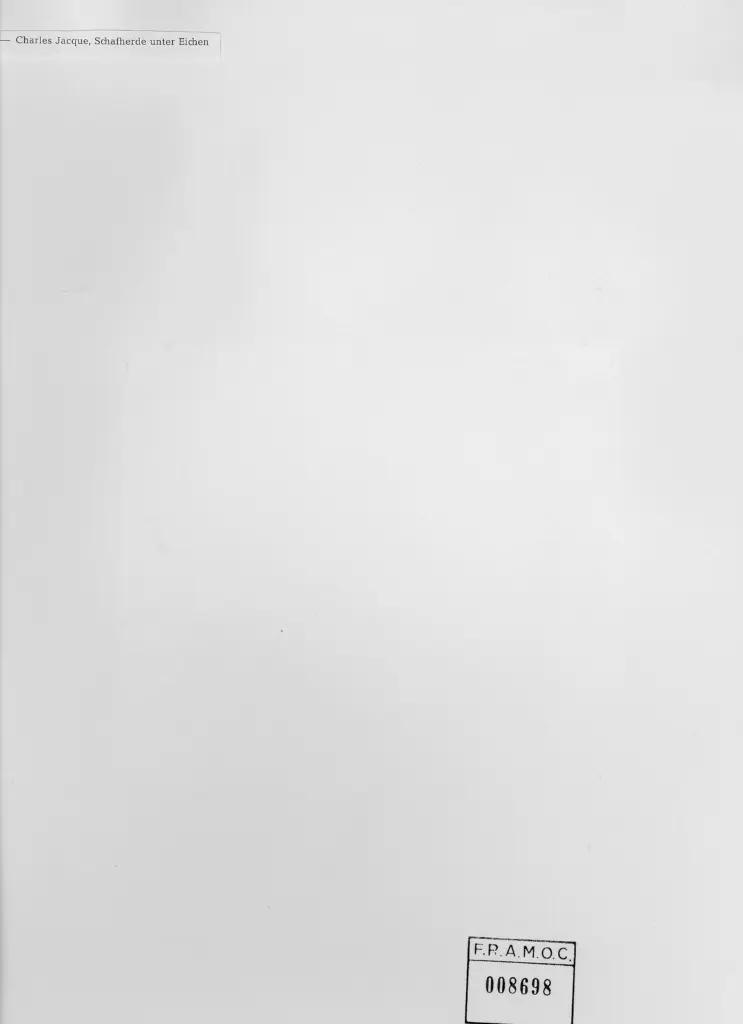 Anonimo, Anonimo , retro