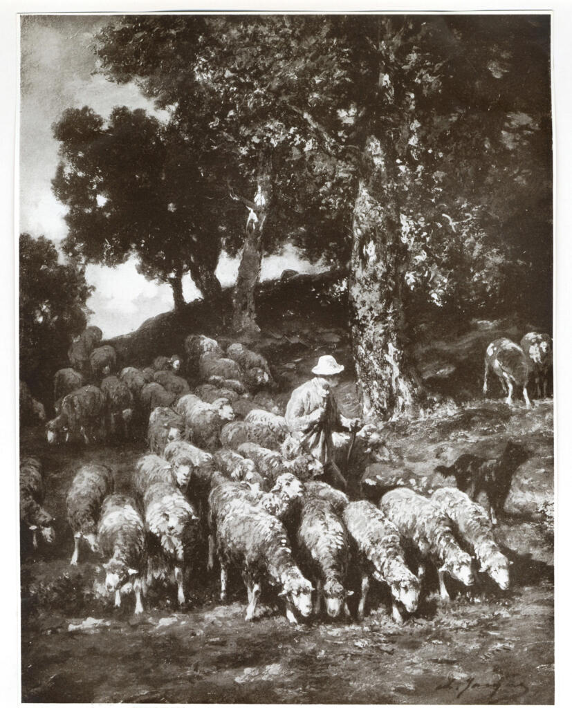 Jacque, Charles , Paesaggio con pecore