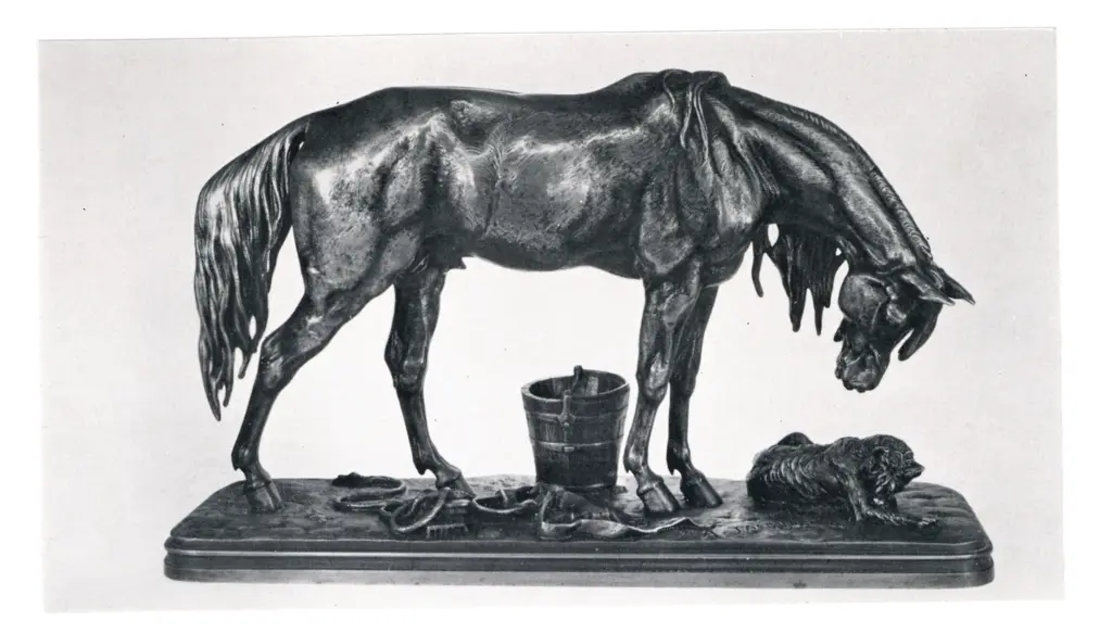 Anonimo , Jacquemart, Henri-Alfred Marie - sec. XIX - Cavallo , fronte