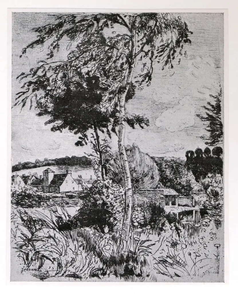 Anonimo, Anonimo , fronte