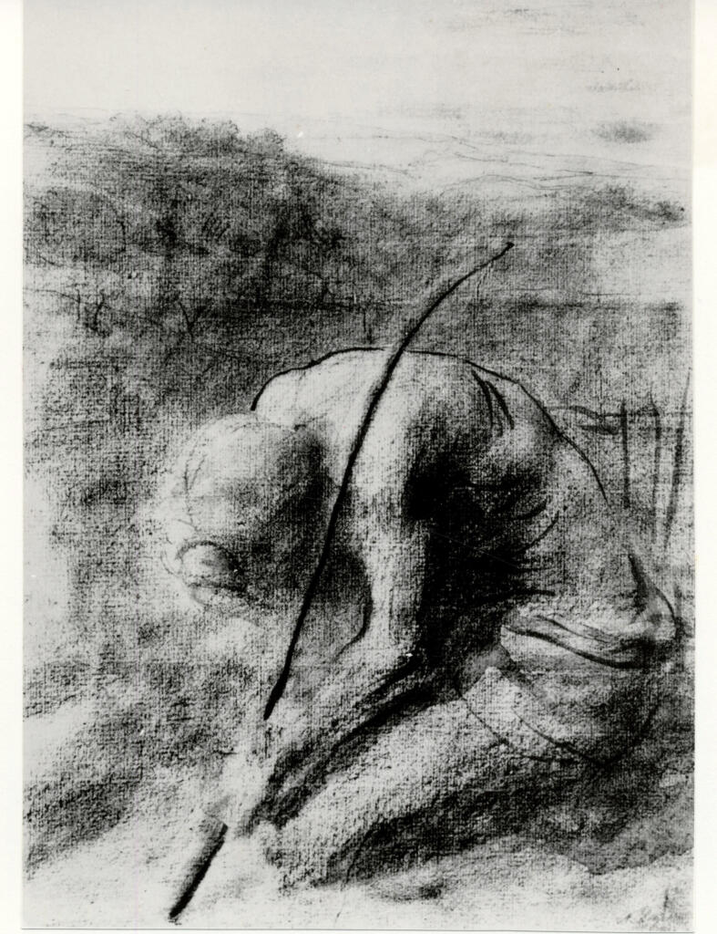 Anonimo , fronte
