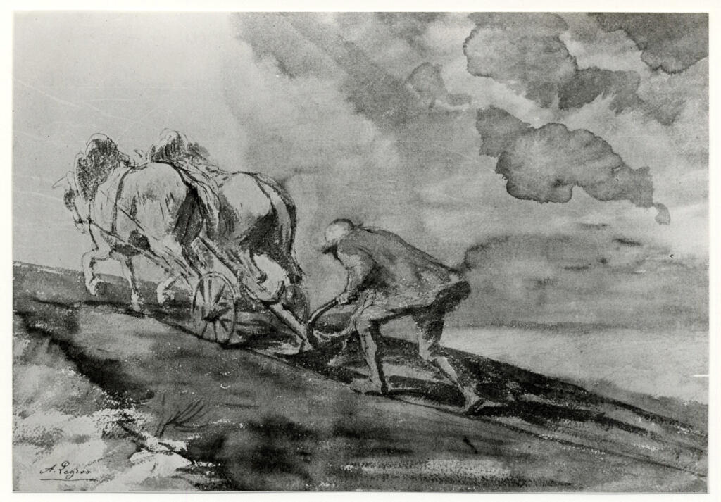 Anonimo , fronte