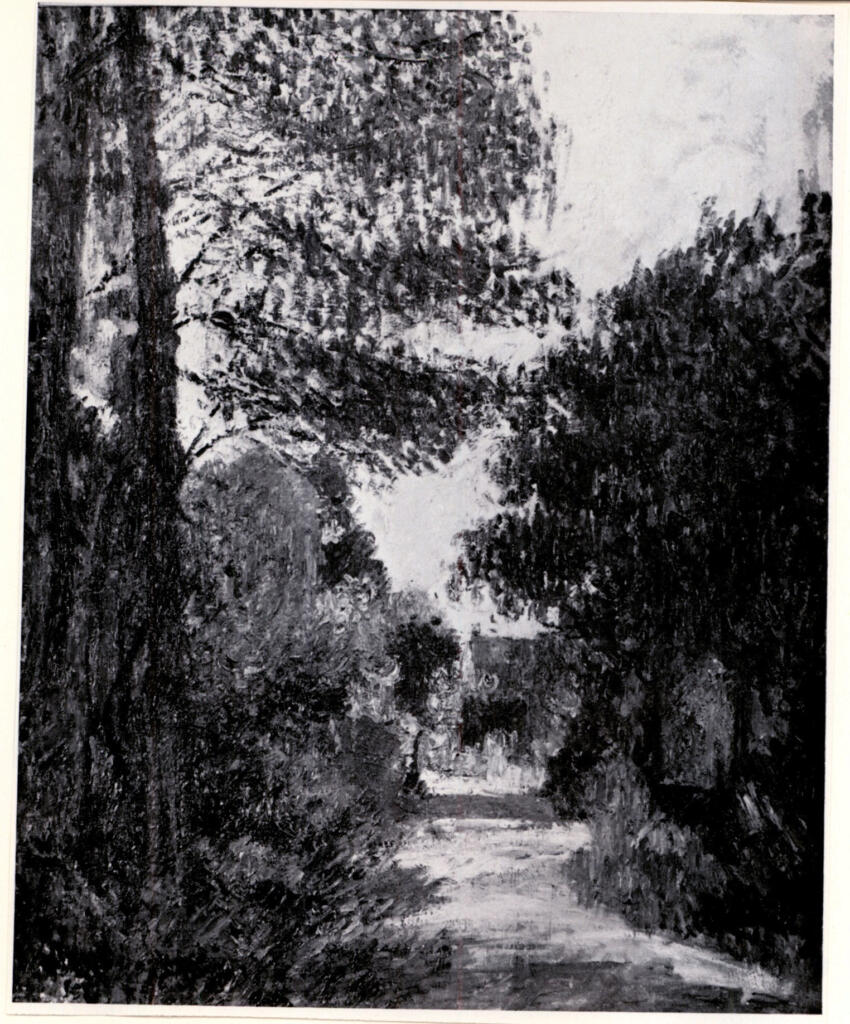 Anonimo , fronte