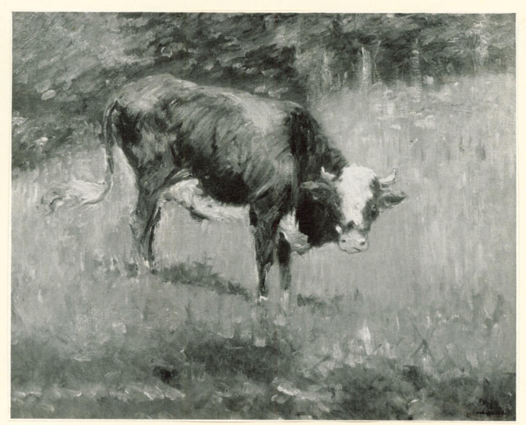 Anonimo , Manet, Edouard - sec. XIX - Le Taureau , fronte